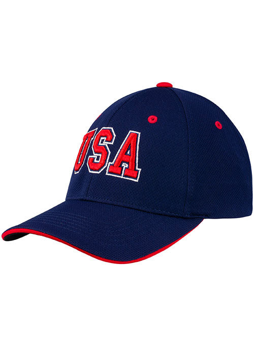 Nike USA Hockey Dri-FIT Swoosh Flex Hat